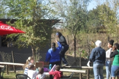 SDC15076