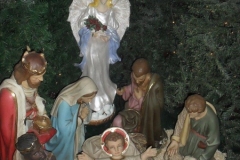 SDC14198