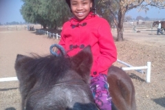 Vereeniging-20150701-01549