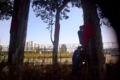 Vereeniging-20150807-01666
