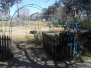 The School