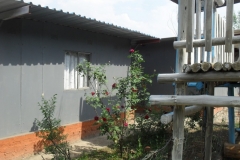SDC15536