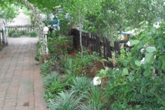 SDC15541